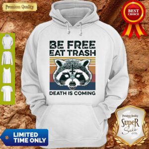 Vintage Raccoon Be Free Eat Trash Death Is Coming Hoodie