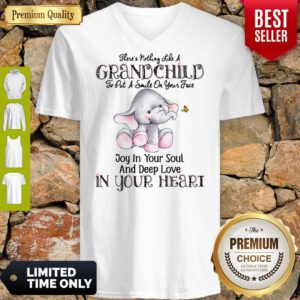 Elephant There’s Nothing Like A Grandchild To Put A Smile On Your Face V-Neck