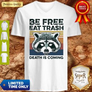 Vintage Raccoon Be Free Eat Trash Death Is Coming V-Neck