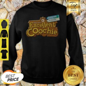 Date Me Please Yeah I Have Excellent Coochie Sweatshirt