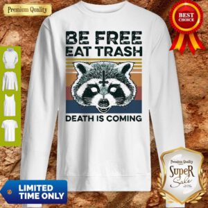 Vintage Raccoon Be Free Eat Trash Death Is Coming Sweatshirt
