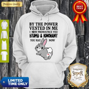 By The Power Vested In Me I Now Pronounce You Stupid And Ignorant Hoodie