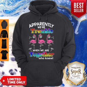 Flamingo Apparently We’re Trouble When We Are Together Who Knew Coronavirus Hoodie