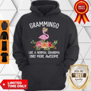 Grammingo Like A Normal Grandma Only More Awesome Hoodie