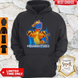 Tiger Quarantined American Flag Mask Disney Hoodie