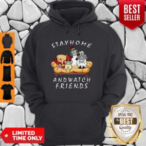 Pets Stay Home And Watch Friends Cartoon COVID-19 Hoodie