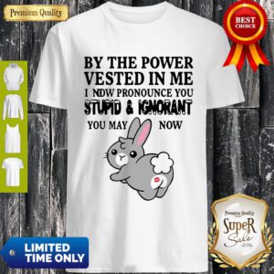 By The Power Vested In Me I Now Pronounce You Stupid And Ignorant Shirts