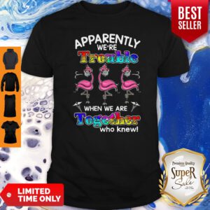 Flamingo Apparently We’re Trouble When We Are Together Who Knew Coronavirus Shirt