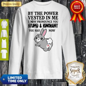 By The Power Vested In Me I Now Pronounce You Stupid And Ignorant Sweatshirt