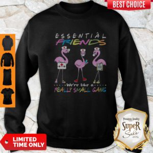Flamingo We’re More Than Just Essential Friends We’re Like A Really Small Gang Sweatshirt