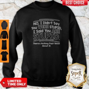 I Didn’t Say You Were Stupid I Said You Are Stupid There’s Nothing Past-Tense About It Sweatshirt
