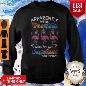 Flamingo Apparently We’re Trouble When We Are Together Who Knew Coronavirus Sweatshirt
