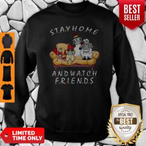 Pets Stay Home And Watch Friends Cartoon COVID-19 Sweatshirt