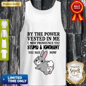 By The Power Vested In Me I Now Pronounce You Stupid And Ignorant Tank Top