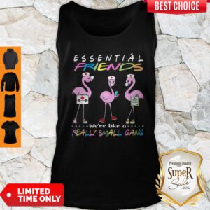 Flamingo We’re More Than Just Essential Friends We’re Like A Really Small Gang Tank Top
