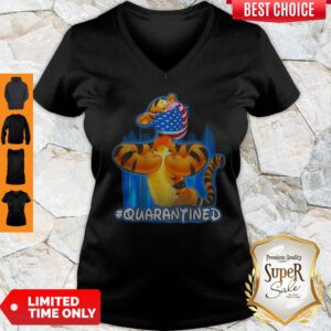 Tiger Quarantined American Flag Mask Disney V-neck