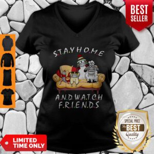 Pets Stay Home And Watch Friends Cartoon COVID-19 V-Neck