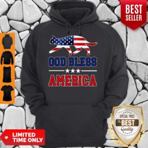 Cute Cat God Bless America Flag Hoodie