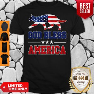 Cute Cat God Bless America Flag Shirt