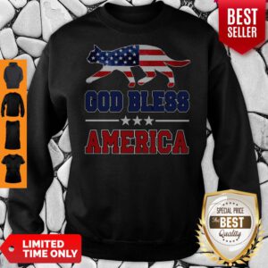 Cute Cat God Bless America Flag Sweatshirt