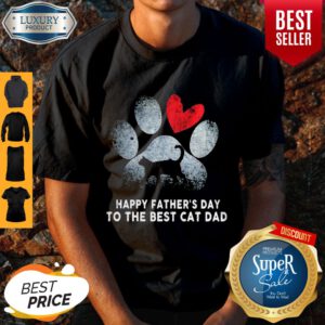 Funny Happy Father's Day To The Best Cat Dad Shirt