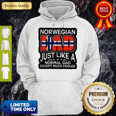 Norwegian Dad Just Like A Normal Dad Except Much Cooler Hoodie