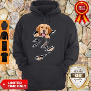 Official Golden Retriever Torn VRFM Hoodie