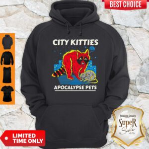 Premium Racoon City Kitties Apocalypse Pets Hoodie