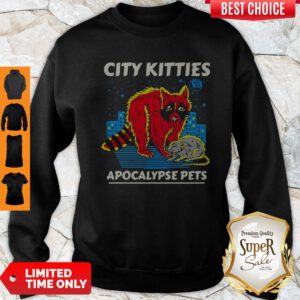 Premium Racoon City Kitties Apocalypse Pets Sweatshirt