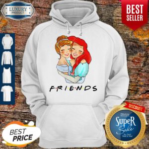 Pretty Cinderella And Ariel Friends Hoodie