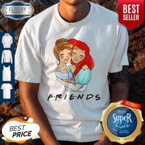 Pretty Cinderella And Ariel Friends Shirt