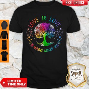 Nice Love Is Love Is Nothing Without You Shirt