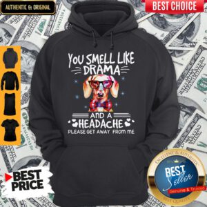 You Smell Like Drama Dog And A Headache Please Get Away From Me Hoodie