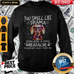 You Smell Like Drama Dog And A Headache Please Get Away From Me Sweatshirt