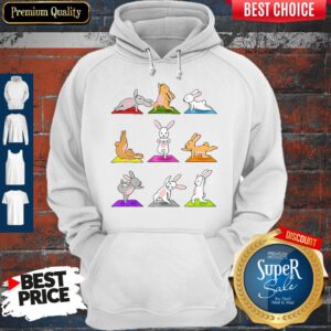 Cute Bunnies Yoga Funny Hoodie