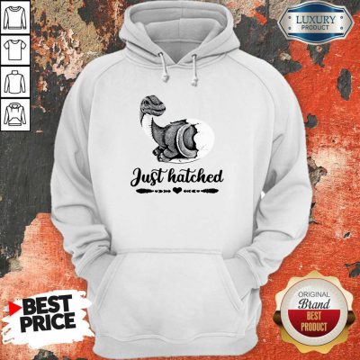 Funny Saurus Just Hatched Hoodie