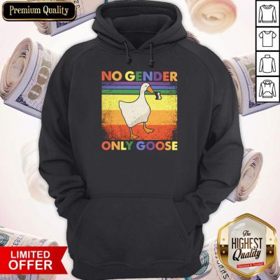 Good LGBT Duck No Gender Only Goose Vintage Hoodie