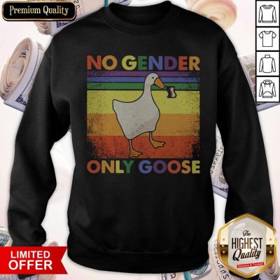 Good LGBT Duck No Gender Only Goose Vintage Sweatshirt