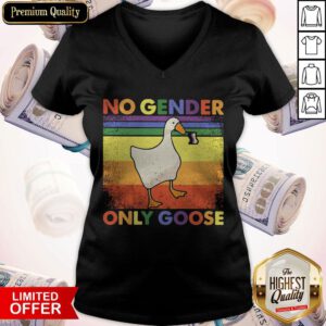 Good LGBT Duck No Gender Only Goose Vintage V-neck