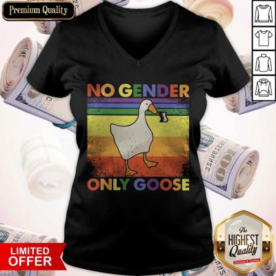 Good LGBT Duck No Gender Only Goose Vintage V-neck