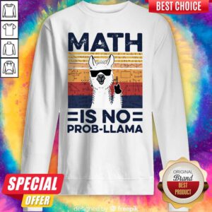 Good Math Is No Prob-Llama Vintage Sweatshirt
