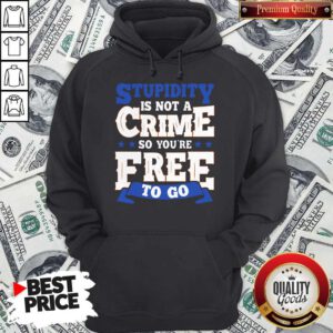 Premium Stupidity Is Not A Crime So You're Free To Go Hoodie