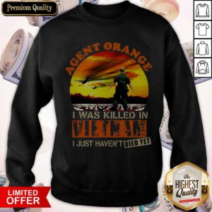 Top Agent Orange I Was Killed In Vietnam I Just Haven't Died Yet Sweatshirt