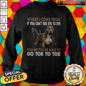 Where I Come From If You Can’t See Eye To Eye You Better Be Able To Go Toe To Toe Sweatshirt
