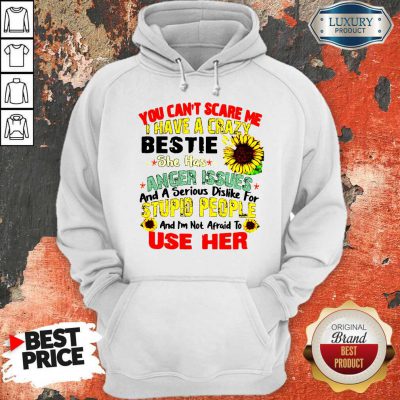 You Can’t Scare Me I Have A Crazy Bestie She Has Anger Issues And A Serious Dislike For Stupid People Hoodie