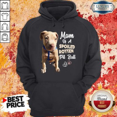 Awesome Mom Off A Spoiled Rotten Pit Bull Hoodie