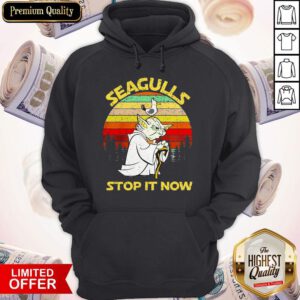 Cute Baby Yoda Seagulls Stop It Now Vintage Hoodie