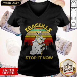 Cute Baby Yoda Seagulls Stop It Now Vintage V-neck