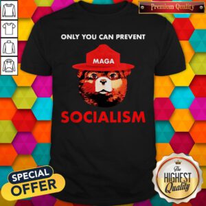 Cute Maga Bear Only You Can Prevent Socialism Shirt