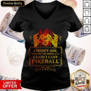 Dungeons I Didn’t Ask How Big The Room Was I Said I Cast Fireball V-neck